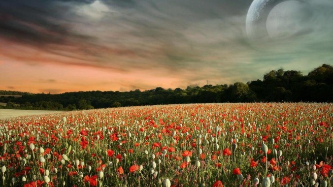 手机的运行内存真的有必要上16GB吗？